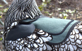 Down Under Outdoors saddle image shows secure fit and easy adjustment