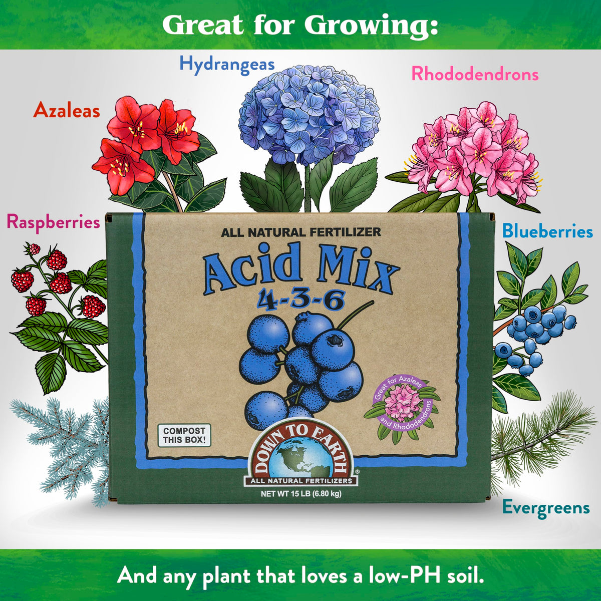 Down To Earth Acid Mix for rhododendrons supports nutrient uptake in acidic soil