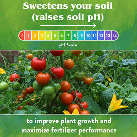 Down To Earth lime granules improving soil tilth and water retention.