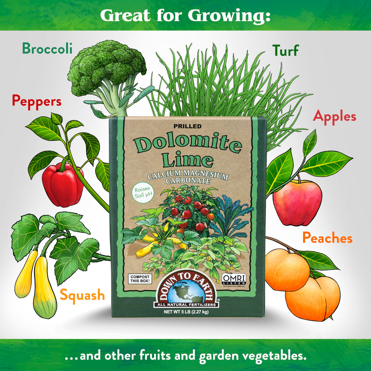 Down To Earth dolomite lime granules spread on soil supporting root growth and healthier plants.