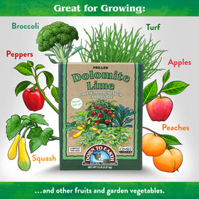 Down To Earth dolomite lime granules spread on soil supporting root growth and healthier plants.