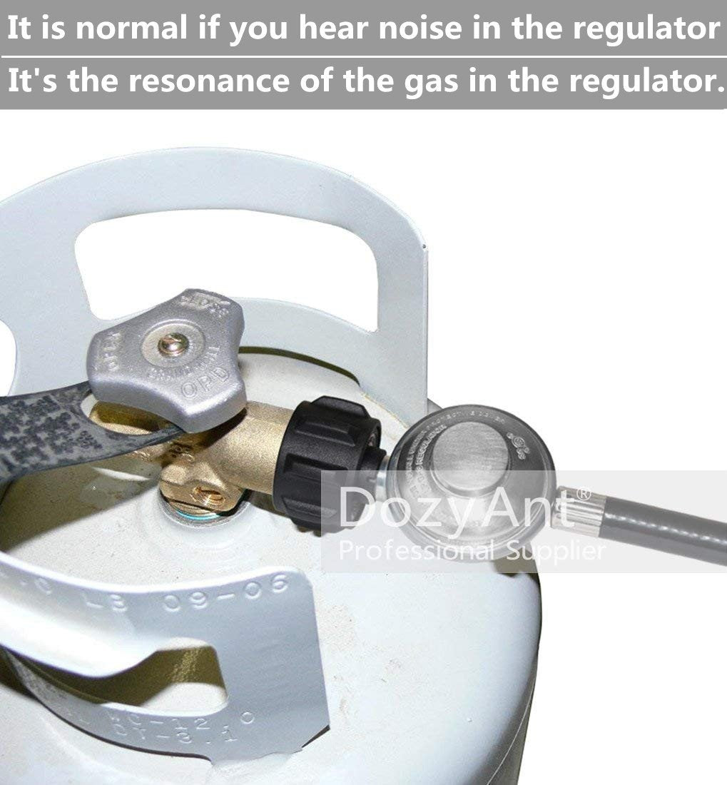 CSA-certified DOZYANT regulator ensures safe outdoor gas connections.