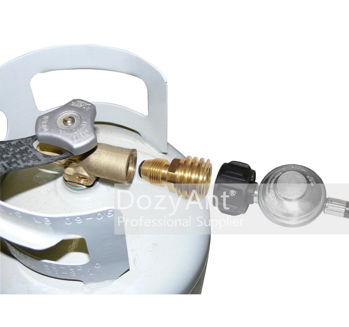 LP tank to regulator conversion with DOZYANT enables use of larger tanks safely.