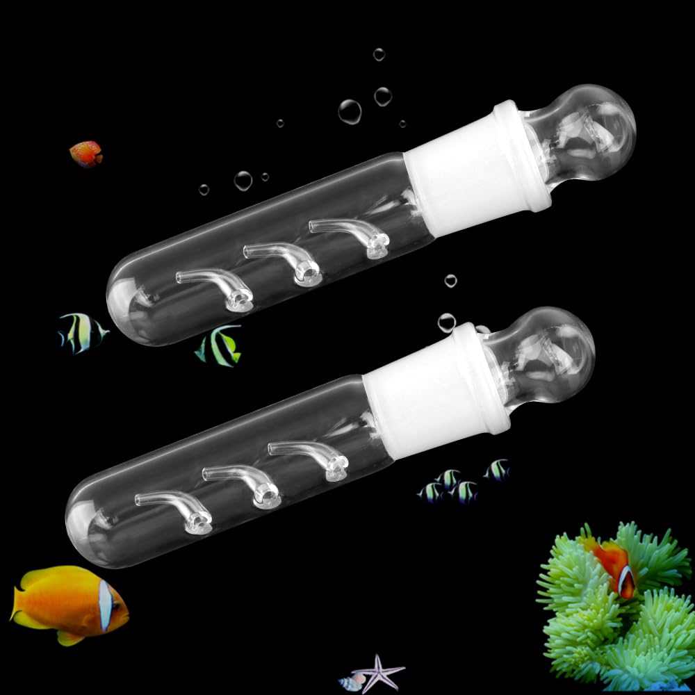 DQITJ clear glass planaria trap 2-pack for shrimp tanks
