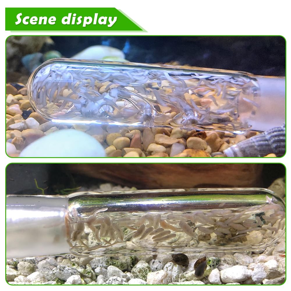 DQITJ crystal glass planaria trap with bait bulb for effective trapping