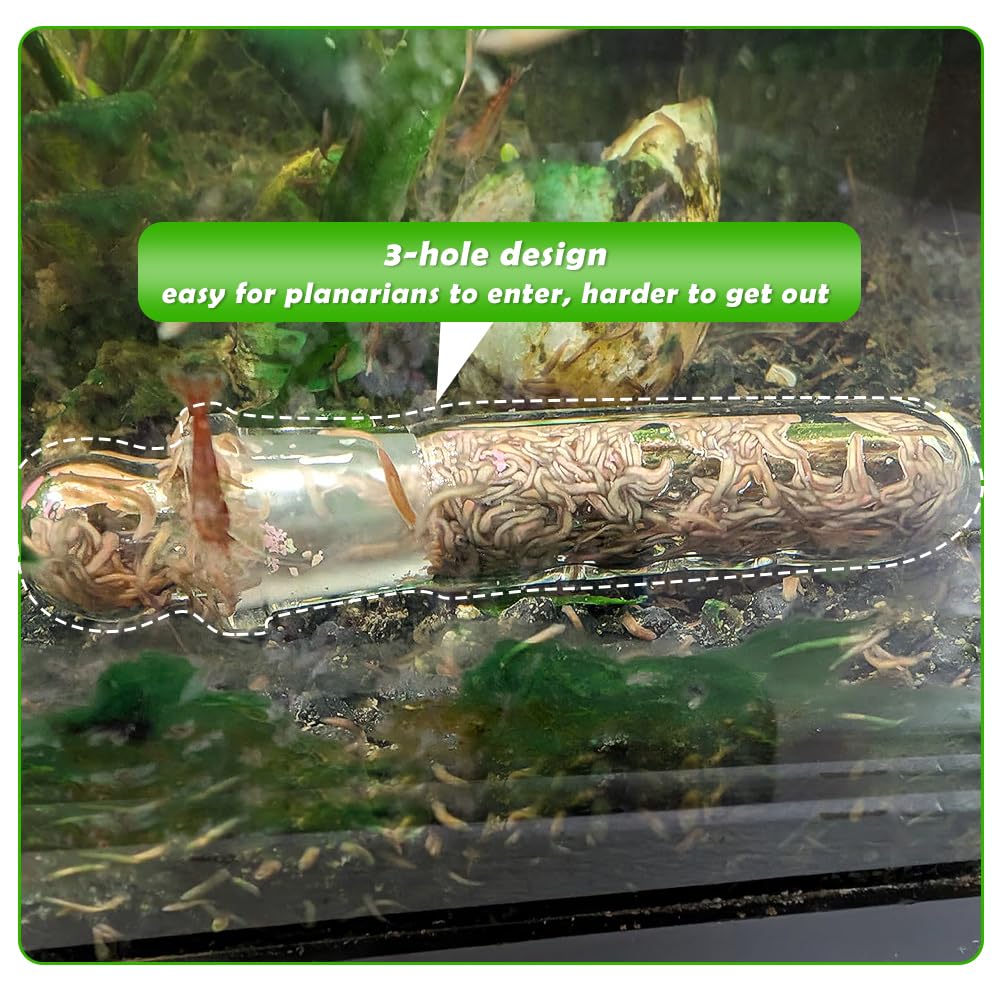 DQITJ simple-use planaria trap placed against substrate in aquarium