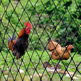 DQS Bird Net easy-cut design lets you tailor size on-site