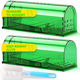 DR CATCH humane mouse trap front view showing compact 2-pack design for home use.