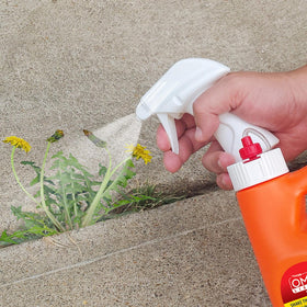 DR EARTH Final Stop spray on weeds for safe outdoor use