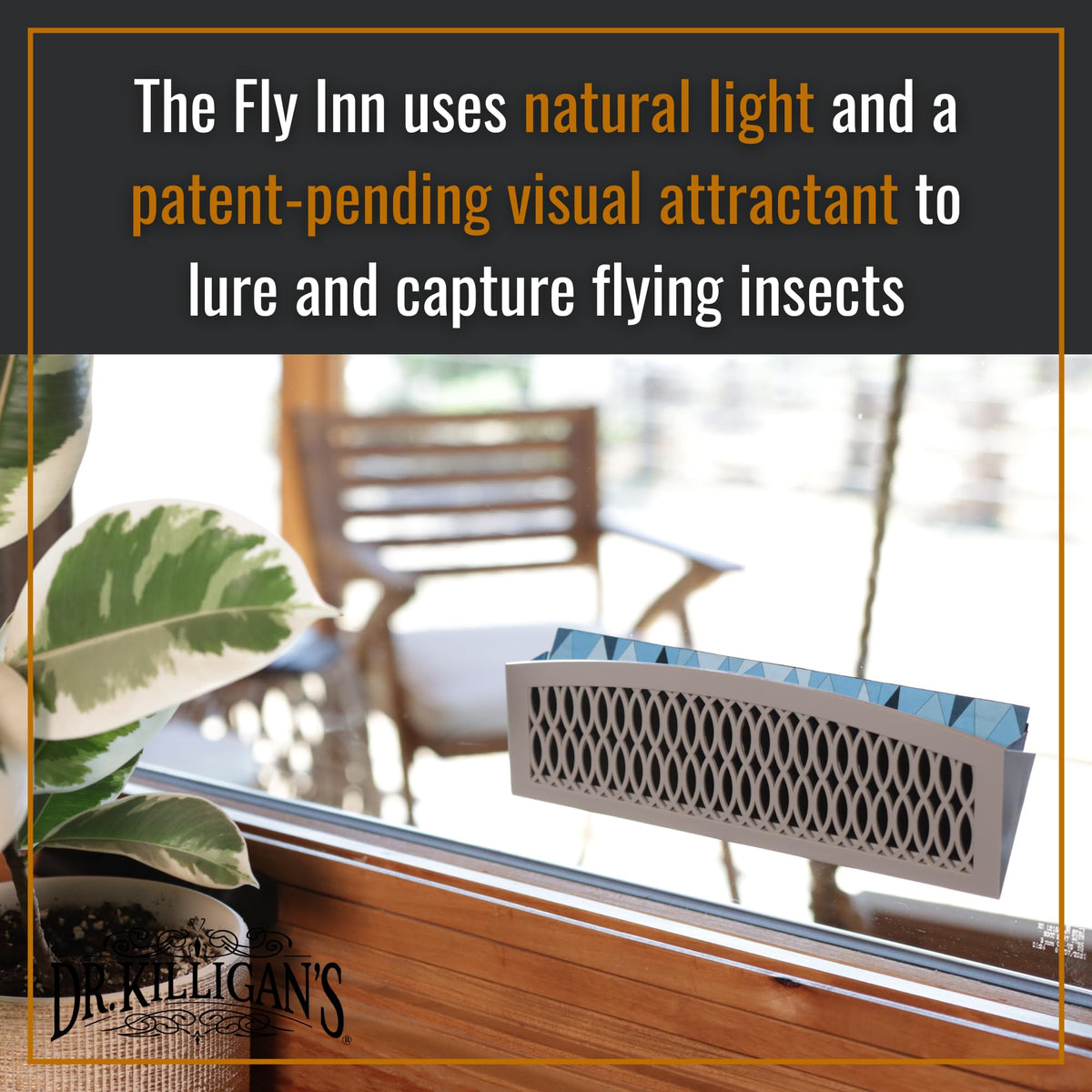 Dr. Killigan's Fly Inn discreet design blends with home decor while trapping insects