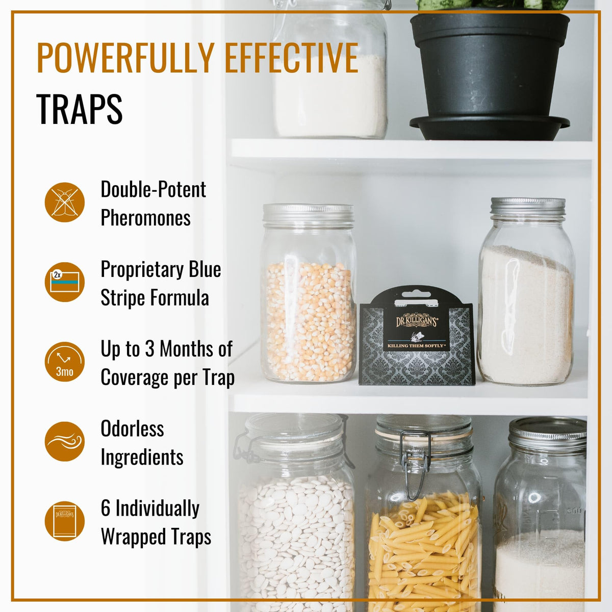 Dr. Killigan's pantry moth trap installed on a pantry shelf showing discreet placement