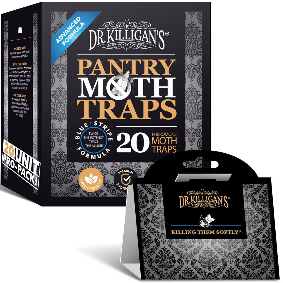 Dr. Killigan's premium pantry moth traps, front view for kitchen protection