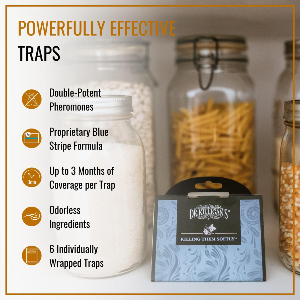 Close-up of Dr. Killigan's double-potent pheromone traps attracting pantry moths