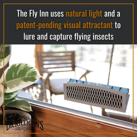 Dr. Killigan's The Fly Inn suction cups securing trap to glass door