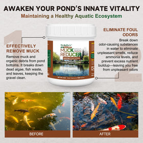 Dr.Raifya's Muck Reducer bottle-label shows natural pond treatment