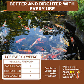 Dr.Raifya's Muck Reducer ecosystem-balance supports vibrant water features