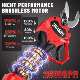 Dragro battery pack duo powering cordless pruning for longer sessions.