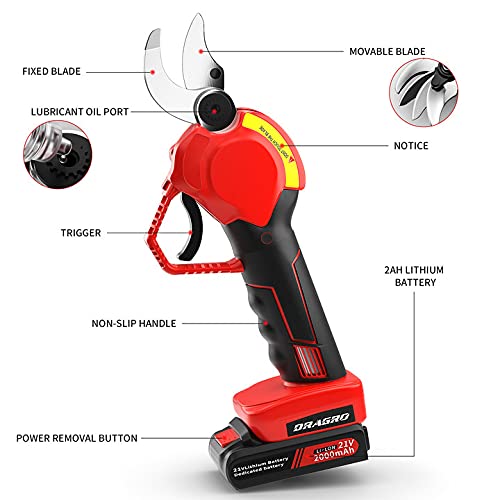 Safety switch engaged on Dragro pruner ensures safe operation.