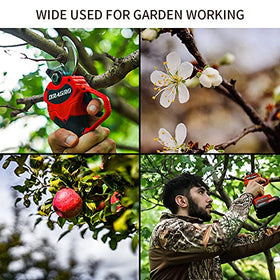 Included accessories and portable storage box with Dragro pruner.