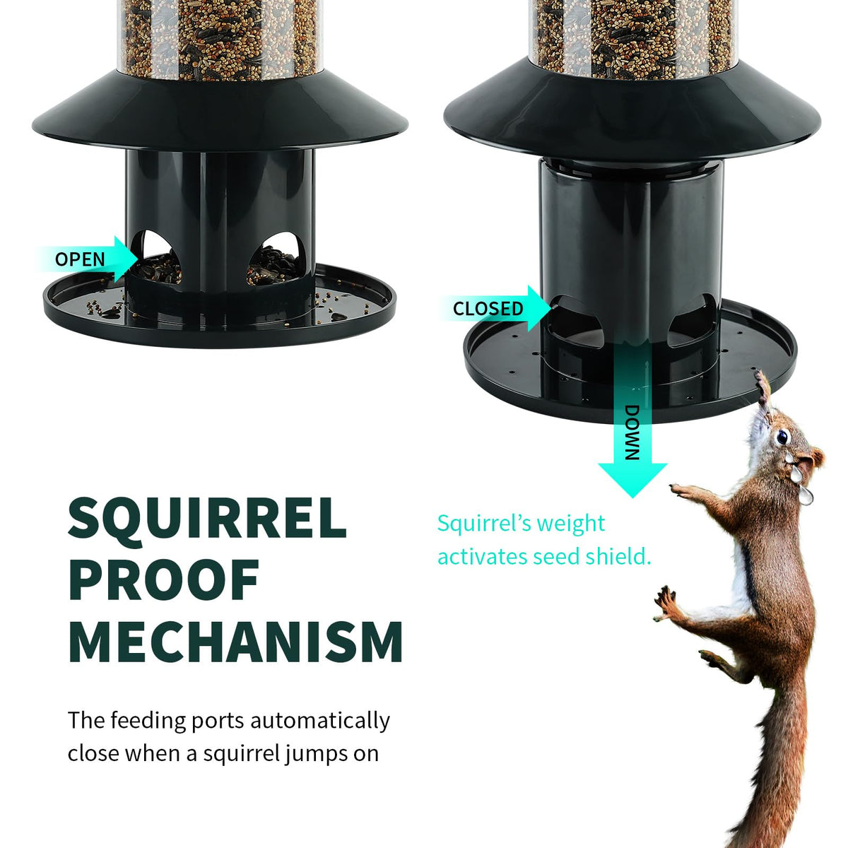 Dreamdrawer rainproof roof protects seeds during rainy weather for backyard birds.