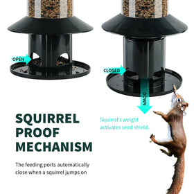 Dreamdrawer rainproof roof protects seeds during rainy weather for backyard birds.