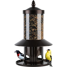 Dreamdrawer Squirrel-Proof Feeder base with sturdy outdoor mounting.