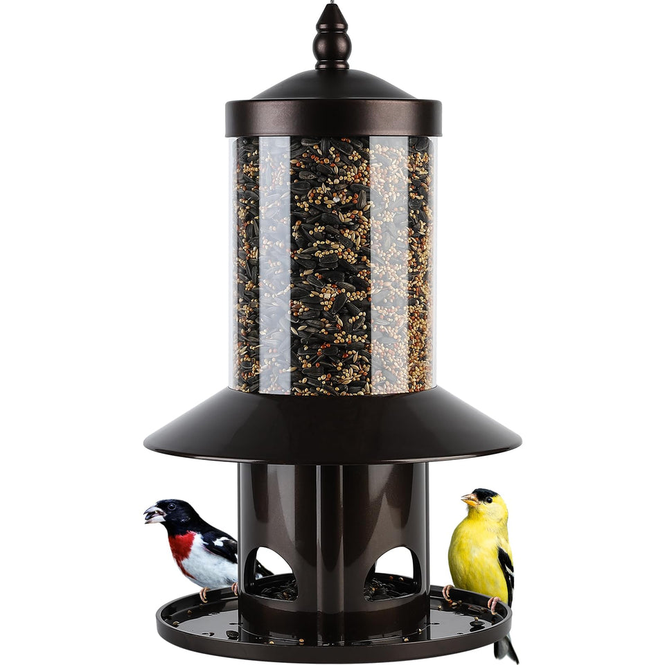 Dreamdrawer Squirrel-Proof Feeder base with sturdy outdoor mounting.