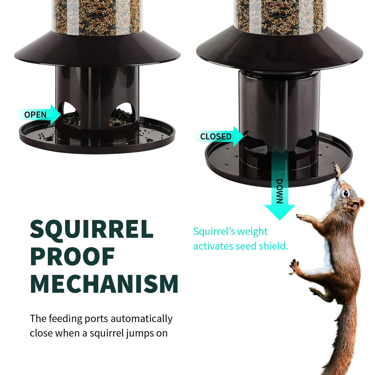 Dreamdrawer Squirrel-Proof Feeder closure shows weight-sensor mechanism.