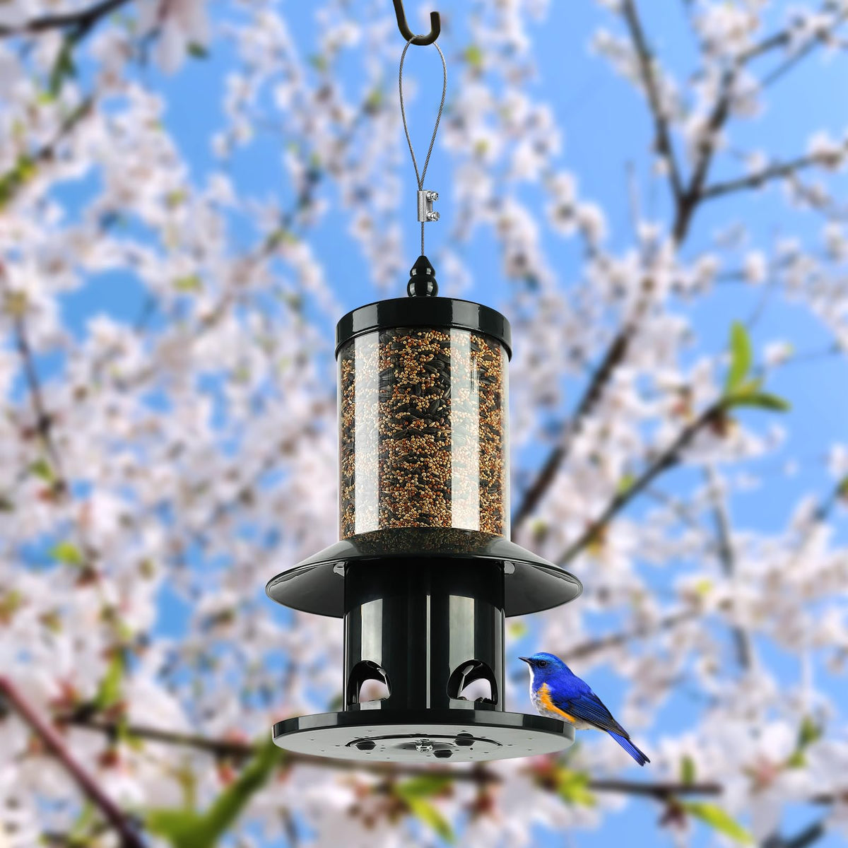 Dreamdrawer Squirrel-Proof Feeder dark green housing blends with outdoor spaces
