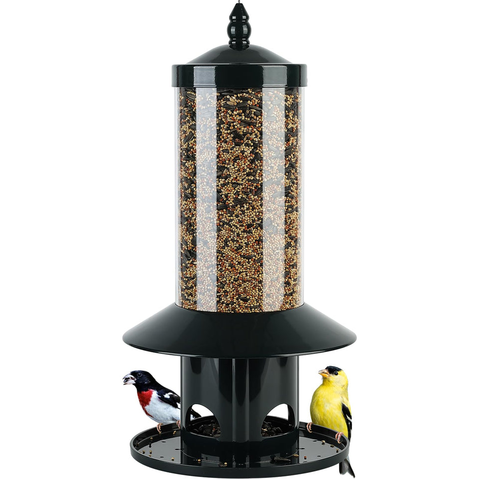 Dreamdrawer squirrel-proof feeder front view deters squirrels while feeding small garden birds.