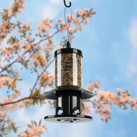 Dreamdrawer Squirrel-Proof Feeder outdoor hanging design blends with garden décor