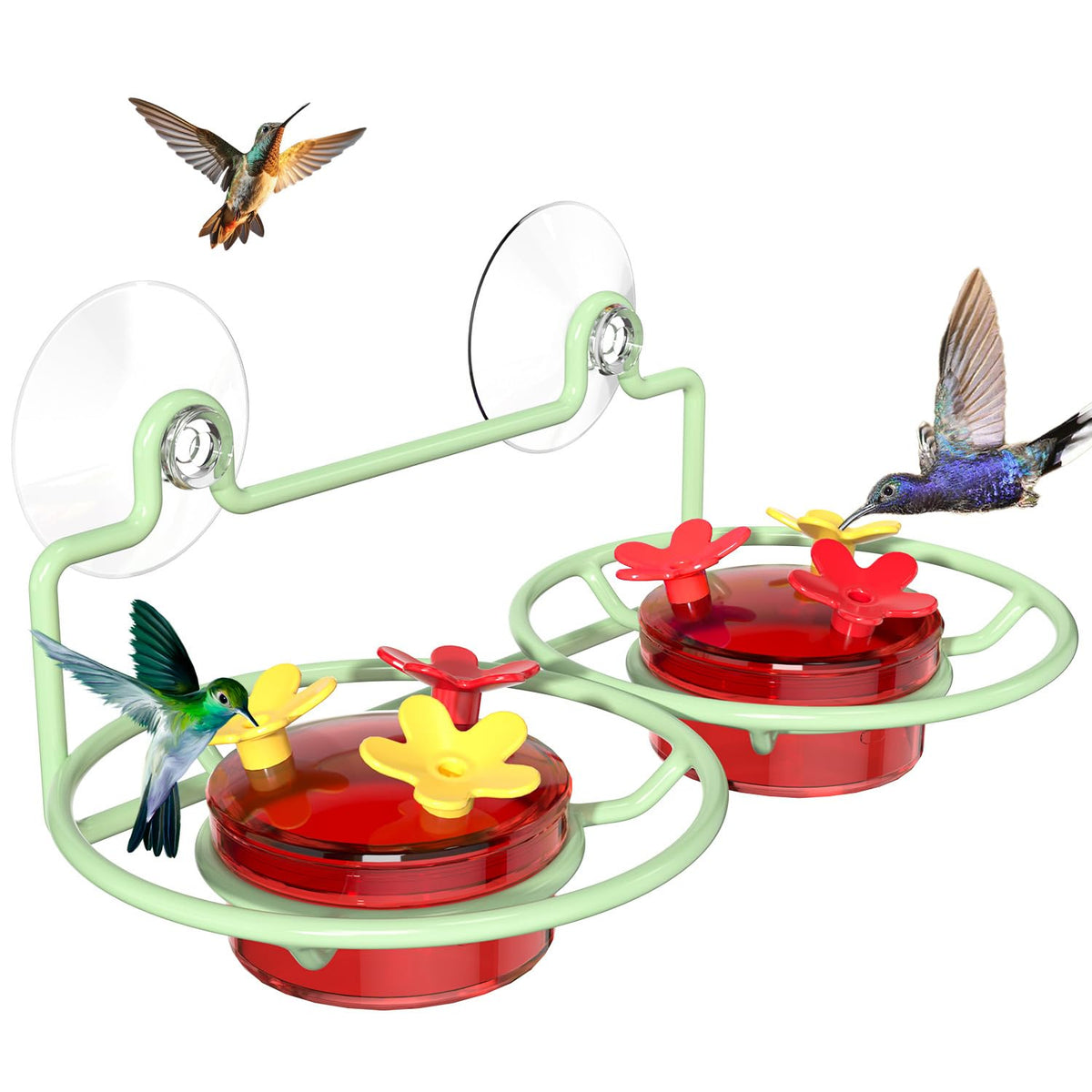 Dreamdrawer window hummingbird feeder with metal base attracts hummingbirds for close viewing
