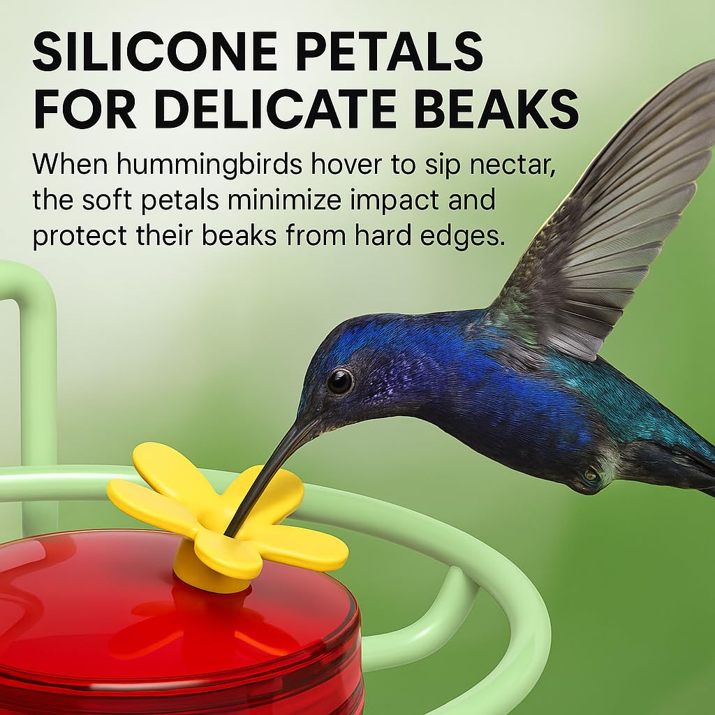 Dreamdrawer window feeder with strong suction cups mounted on glass
