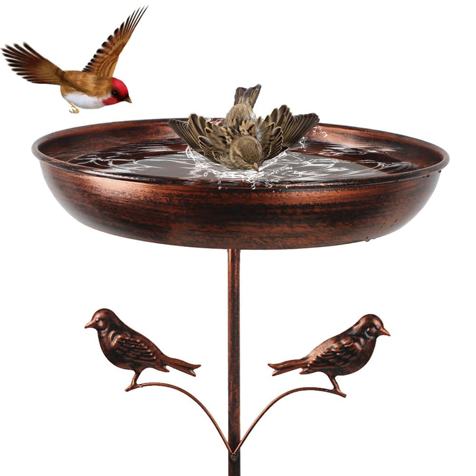 DREAMSOUL 13-inch bird bath bowl showing ample water space for birds
