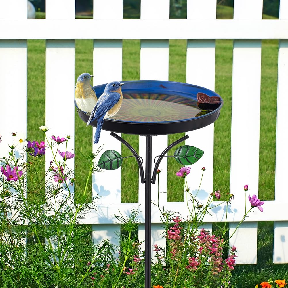 DREAMSOUL 2.6-inch depth supports shallow, bird-friendly baths
