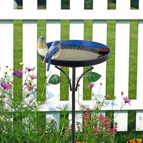 DREAMSOUL 2.6-inch depth supports shallow, bird-friendly baths