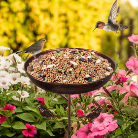DREAMSOUL weatherproof metal bird bath ready for all seasons