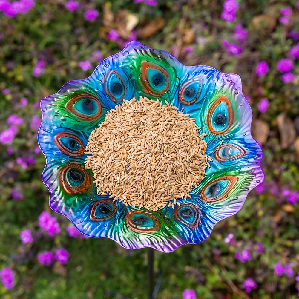 Dreamysoul Peacock feather pattern bowl adds vibrant color to a garden scene