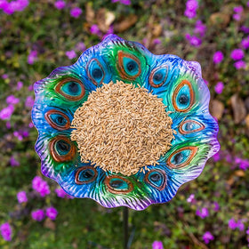 Dreamysoul Peacock feather pattern bowl adds vibrant color to a garden scene