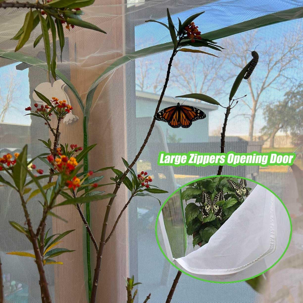 DredQcco 24x24x36 inch netting fits standard pots and raised beds.