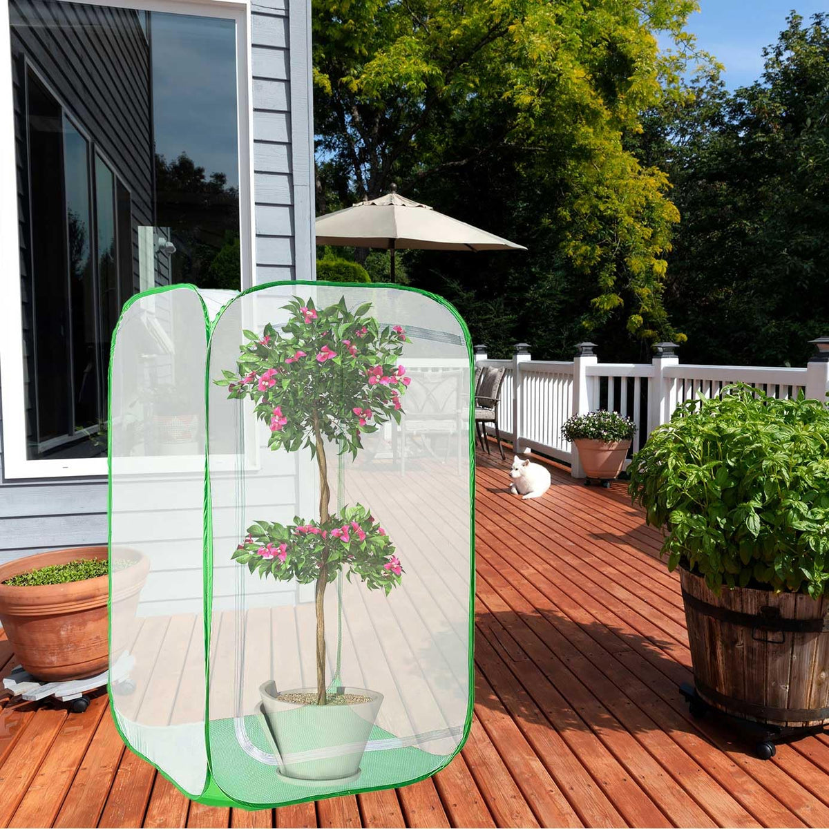 DredQcco foldable pop-up netting stores compactly after season.