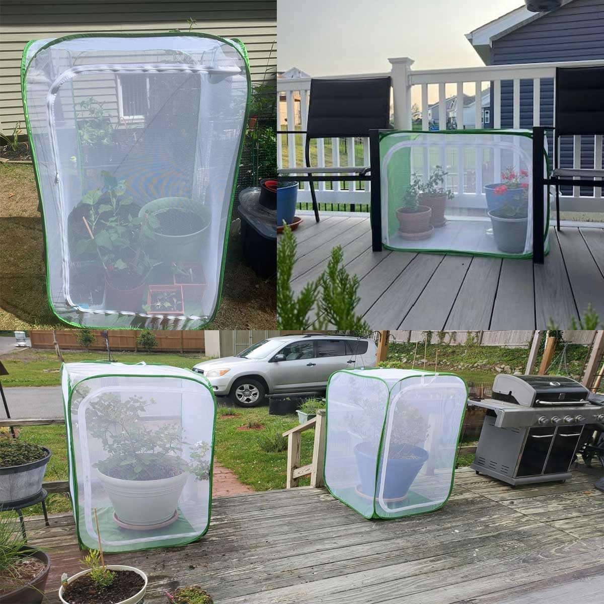 DredQcco pest protection supports vegetables, fruits, and herbs in busy gardens.