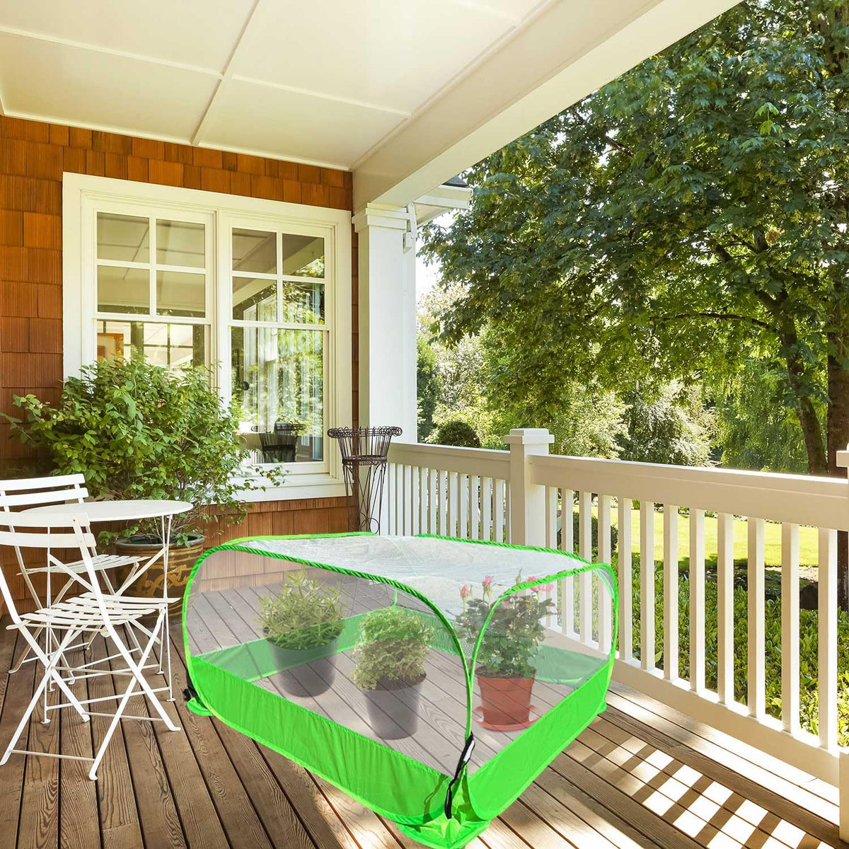DredQcco pop-up plant cover deters deer birds and small mammals