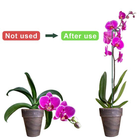Dreecy eight-pack plant stakes cover multiple plants in one project.
