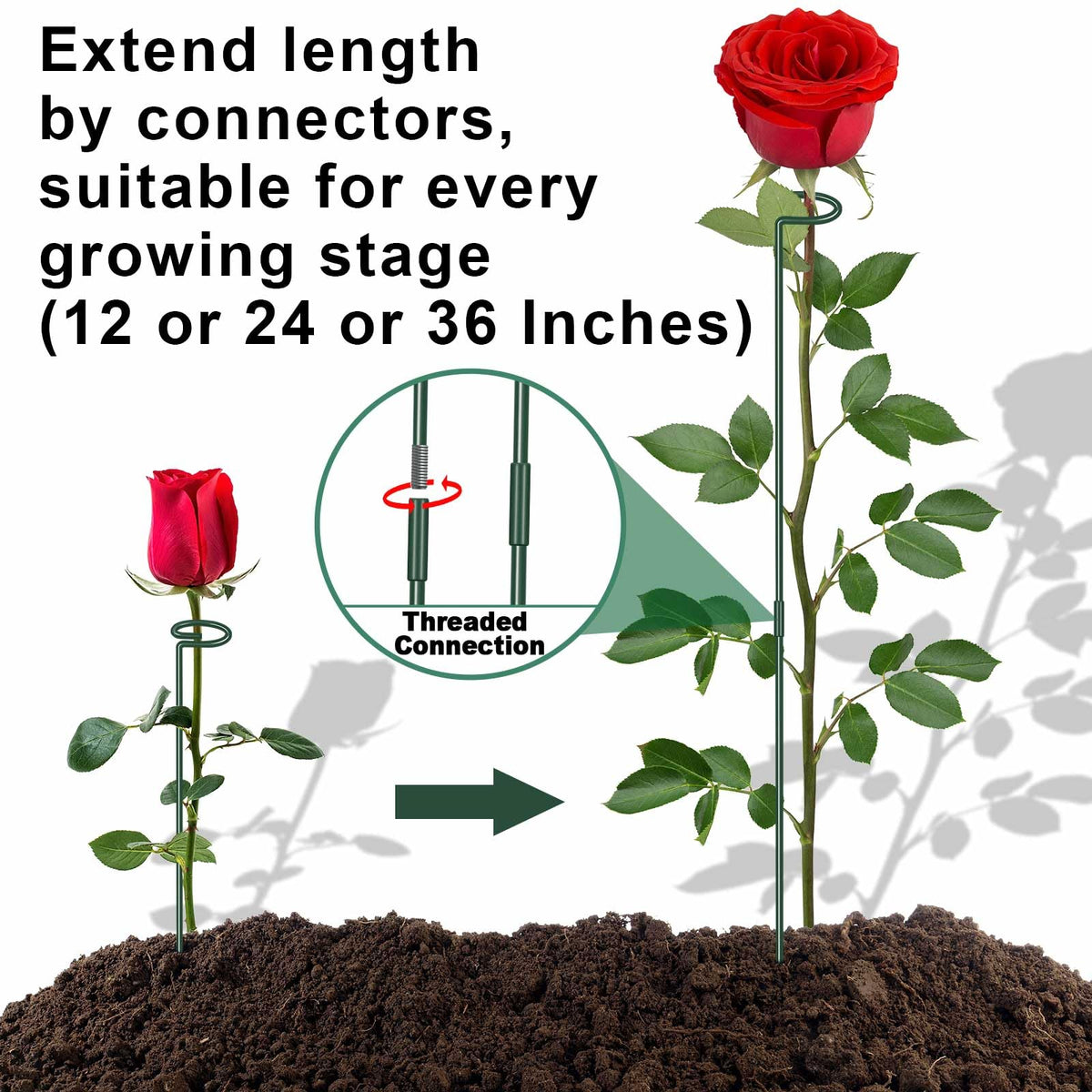 Dreecy indoor-outdoor plant support provides versatile use.