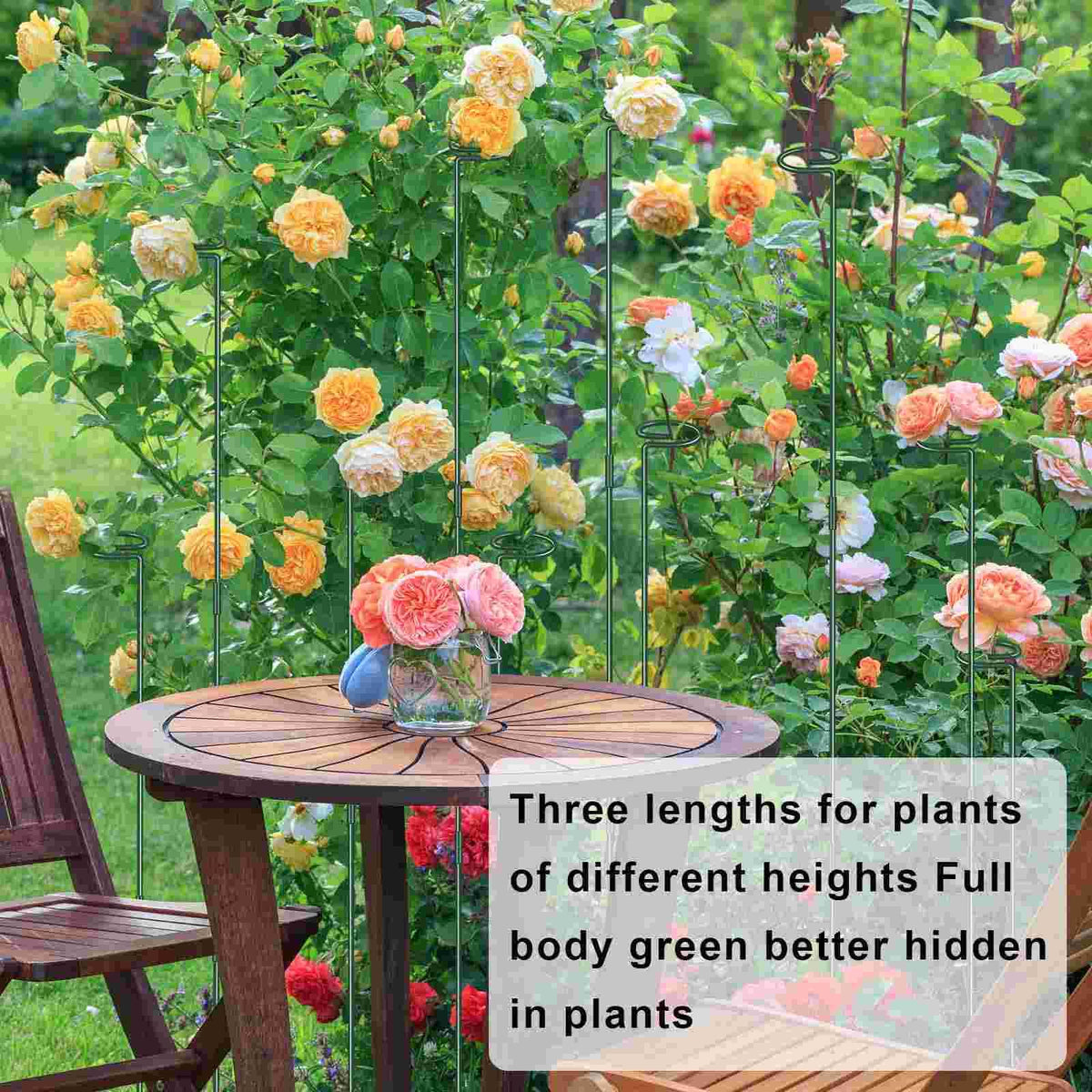 Dreecy roses, tomatoes, and peonies stay upright with these stakes.
