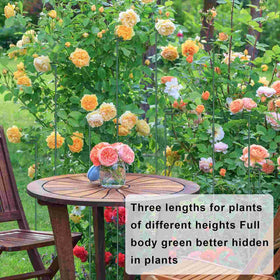 Dreecy roses, tomatoes, and peonies stay upright with these stakes.