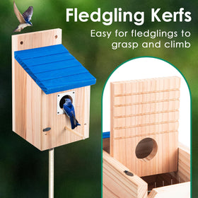 Dreyoo bluebird box air vents improve ventilation.