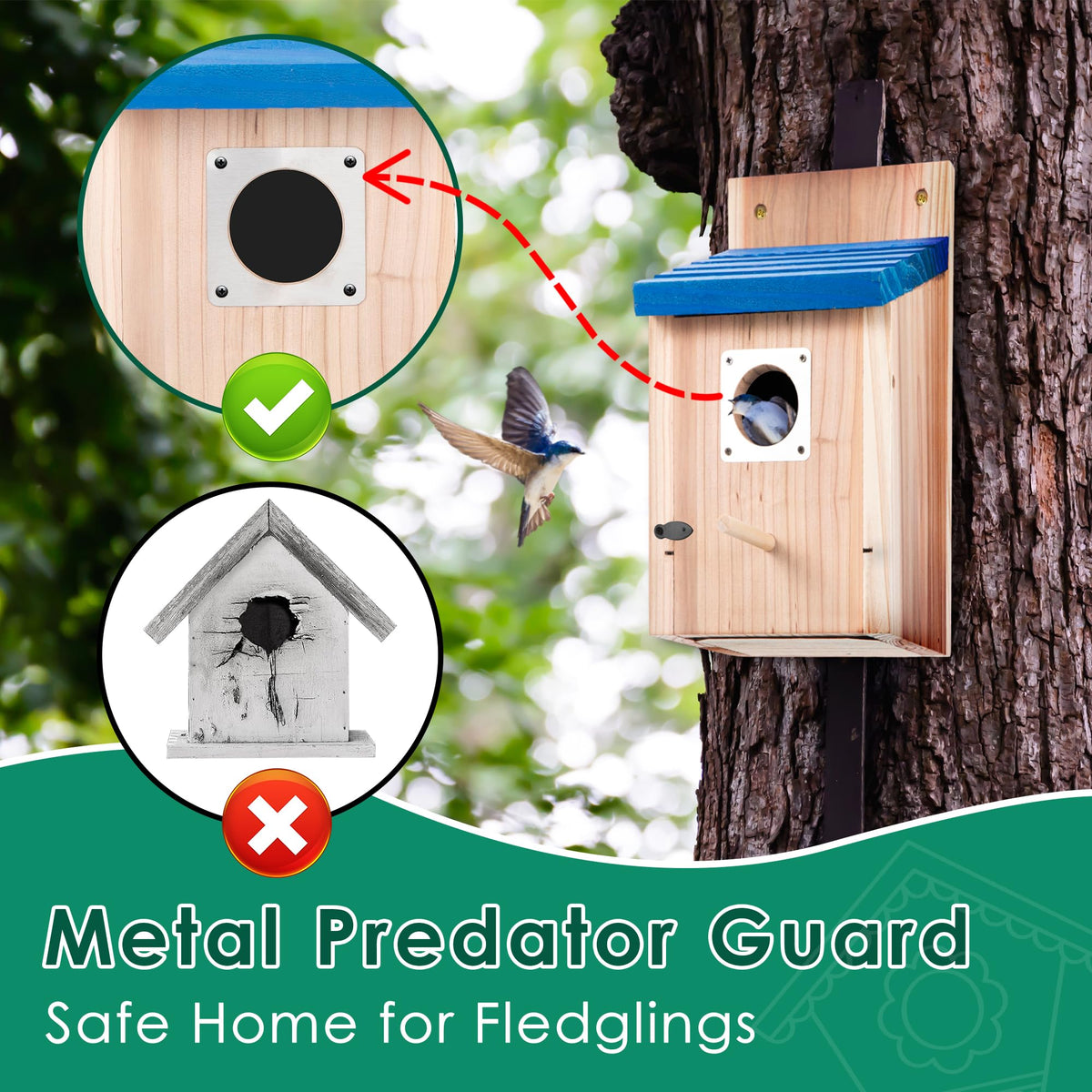 Dreyoo cedar bird box front panel open for easy cleaning.
