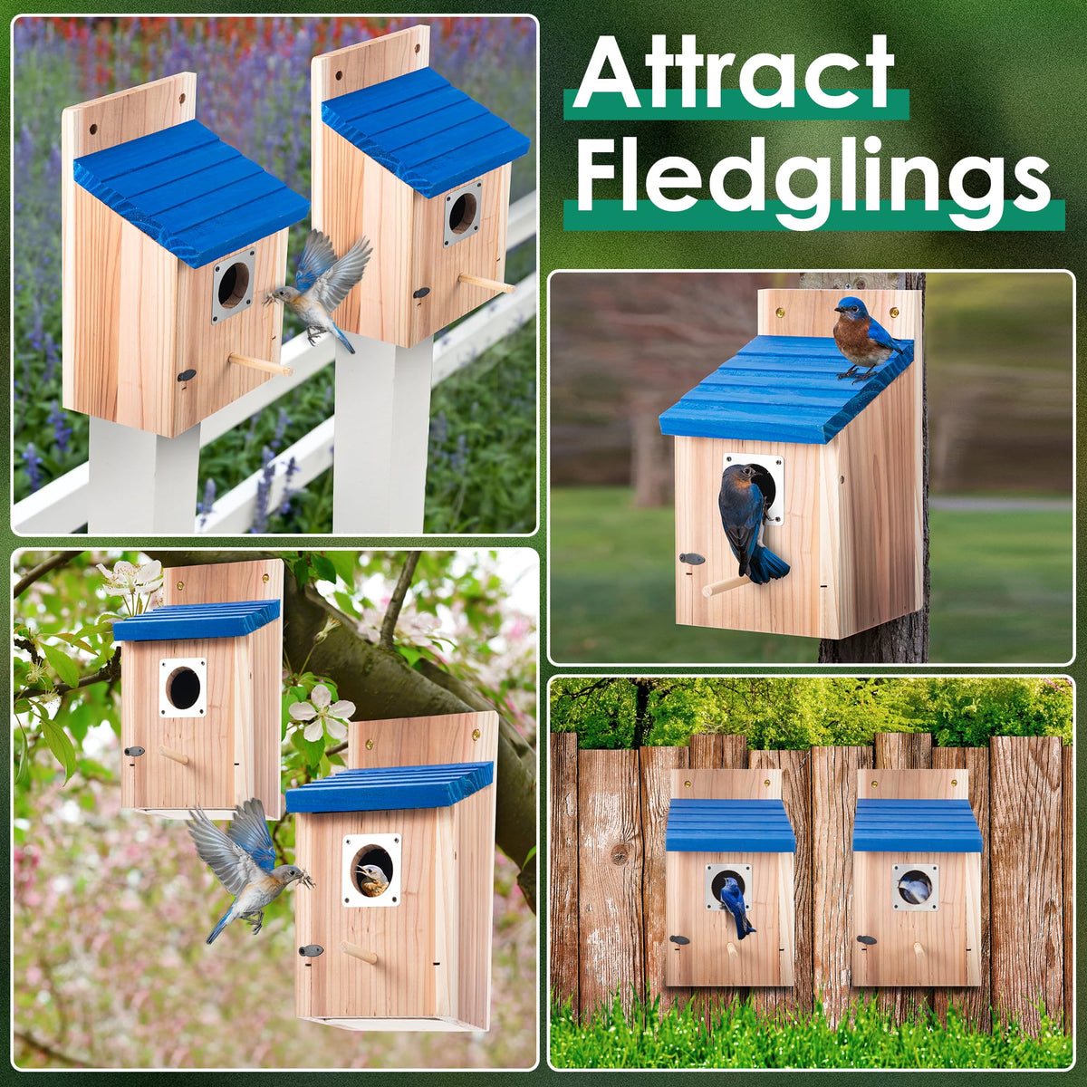 Dreyoo bluebird box includes screws for secure installation.